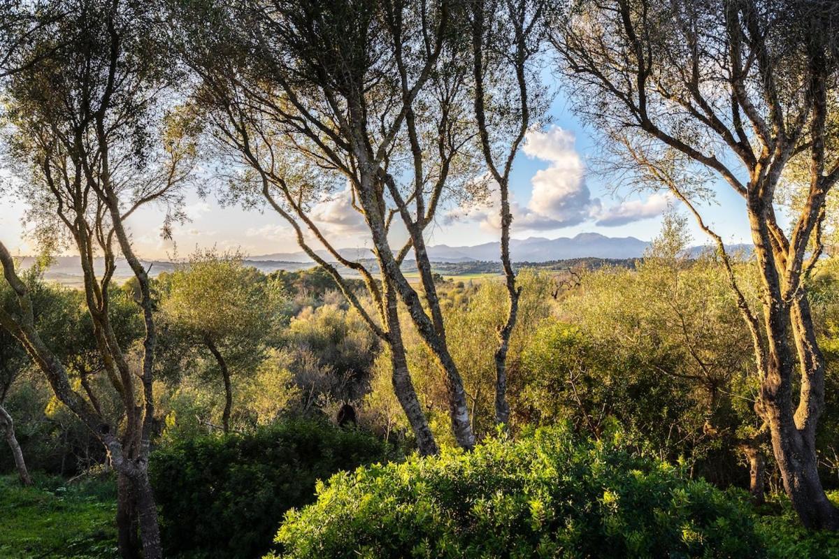 Finca Es Pujol María de la Salud Εξωτερικό φωτογραφία